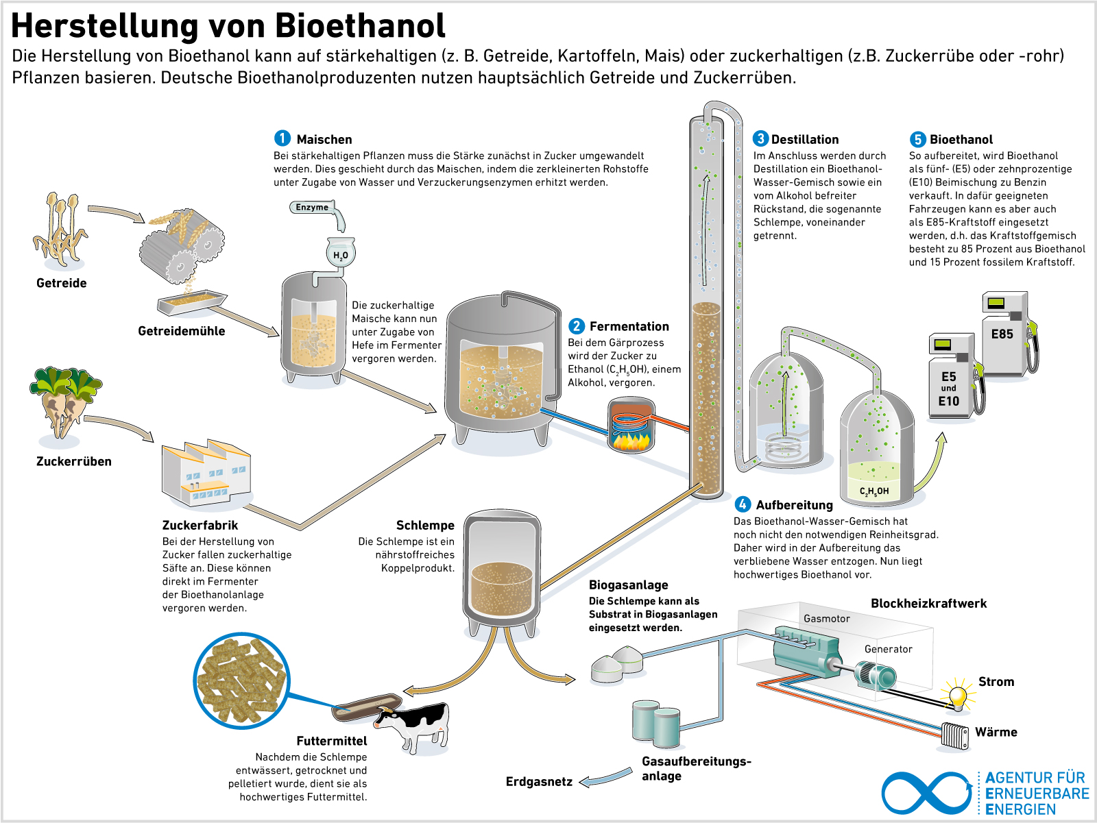 Grafik Herstellung Bioethanol
